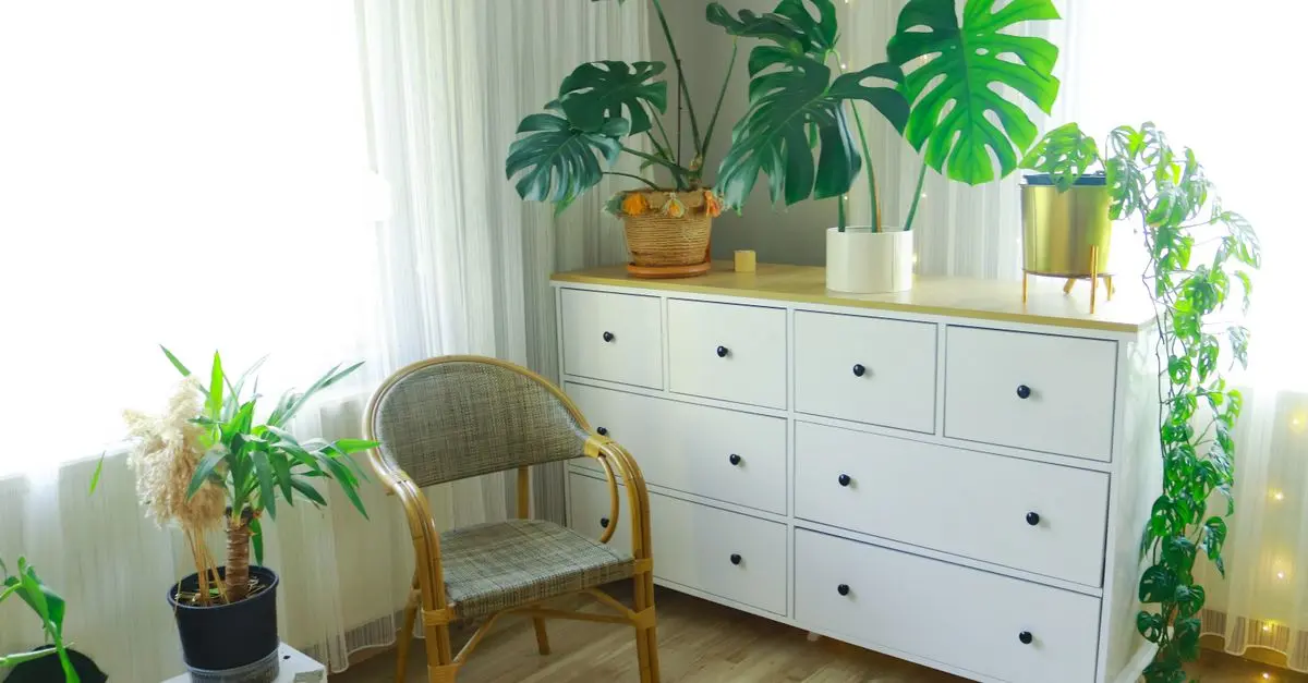 Comment Choisir une Armoire Lit Écologique pour Votre Espace